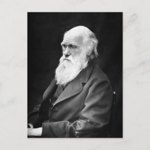 Porträtt Foto av Charles Darwin Vykort