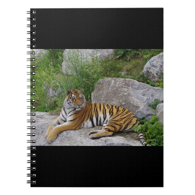 Porträtt-foto av en sibiisk tiger anteckningsbok (Framsidan)