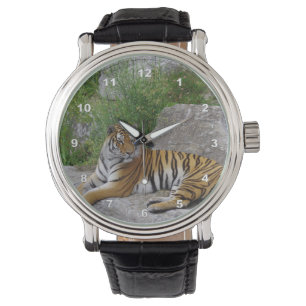 Porträtt-foto av en sibiisk tiger armbandsur