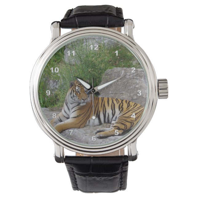 Porträtt-foto av en sibiisk tiger armbandsur (Framsida)