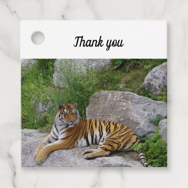 Porträtt-foto av en sibiisk tiger gåvor etiketter (Framsida)