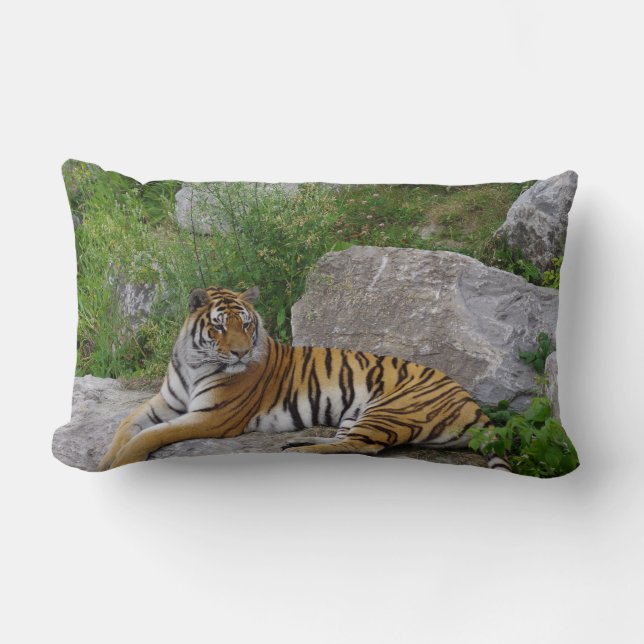 Porträtt-foto av en sibiisk tiger lumbarkudde (Framsida)