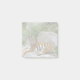 Porträtt-foto av en sibiisk tiger post-it block