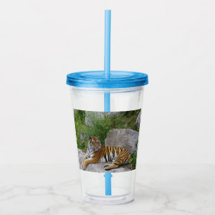 Porträtt-foto av en sibiisk tiger take away mugg