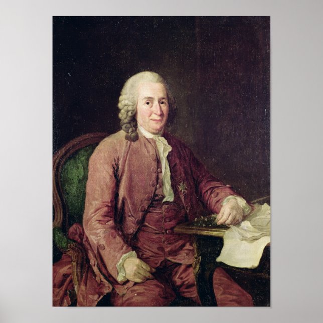 Porträtt från Carl von Linnaeus Poster (Framsidan)