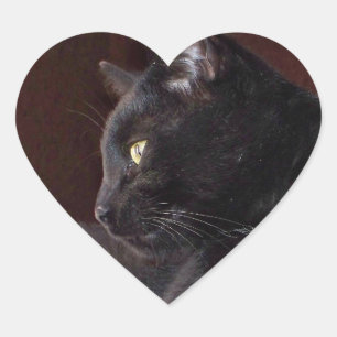 Porträtt från min pojke, Charlie Heart-fästare Hjärtformat Klistermärke