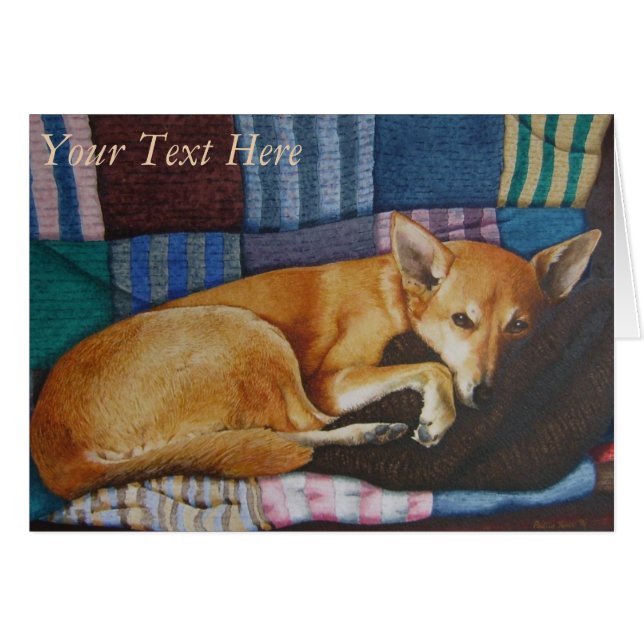 porträtt german shepherd labrador blandras OBS kort (Framsidan Horizontal)