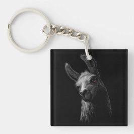 Porträtt Head Cute Llama med svart bakgrund