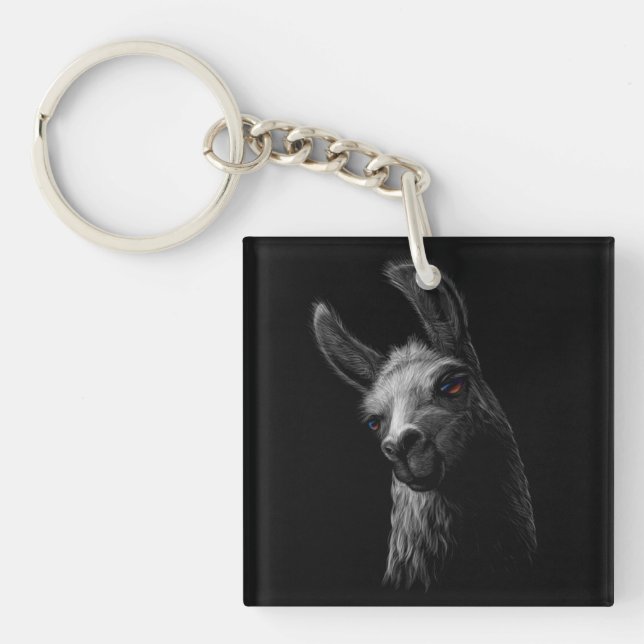 Porträtt Head Cute Llama med svart bakgrund (Framsidan)