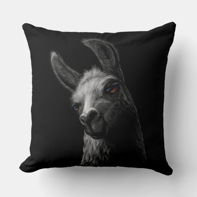 Porträtt Head Cute Llama med svart bakgrund Kudde (Framsida)