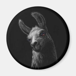 Porträtt Head Cute Llama med svart bakgrund Magnet