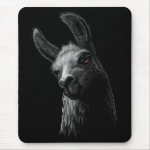 Porträtt Head Cute Llama med svart bakgrund Musmatta