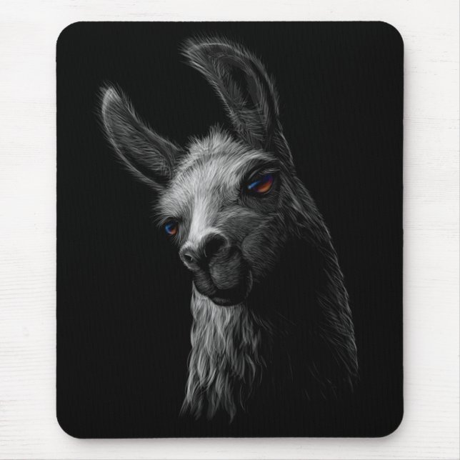 Porträtt Head Cute Llama med svart bakgrund Musmatta (Framsidan)