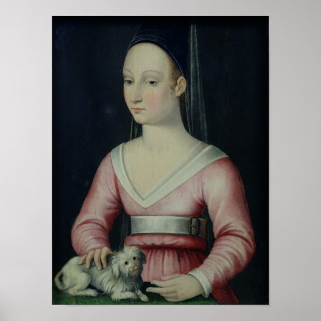 Porträtt i Agnes Sorel Poster (Framsidan)