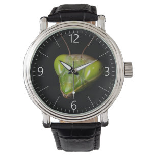 Porträtt i bönande mantis armbandsur
