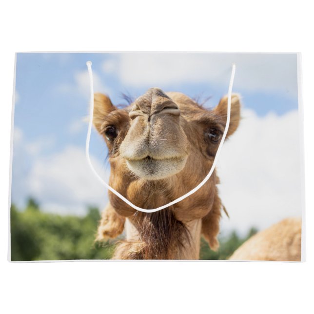 Porträtt i Camel (Framsidan)