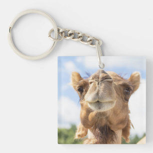 Porträtt i Camel