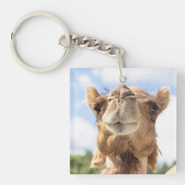 Porträtt i Camel (Framsidan)