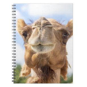 Porträtt i Camel Anteckningsbok