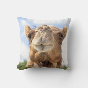 Porträtt i Camel Kudde