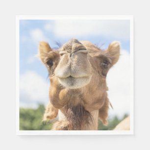 Porträtt i Camel Pappersservett