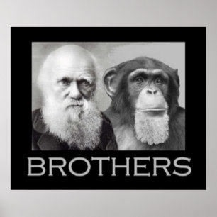 Porträtt i Charles Darwin och Ape Poster