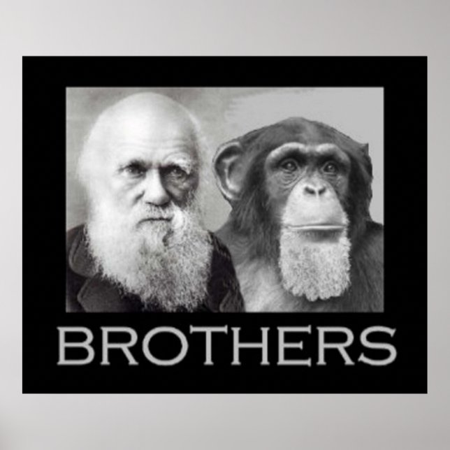 Porträtt i Charles Darwin och Ape Poster (Framsidan)
