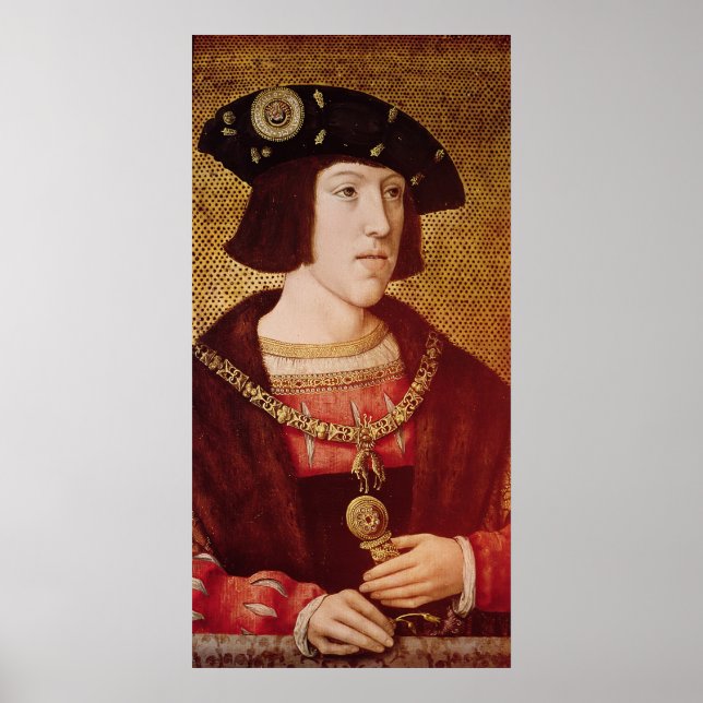 Porträtt i Charles V Poster (Framsidan)