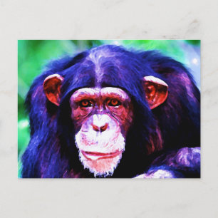 Porträtt i Chimpanzee Vykort