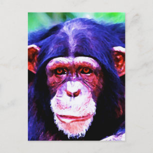 Porträtt i Chimpanzee Vykort
