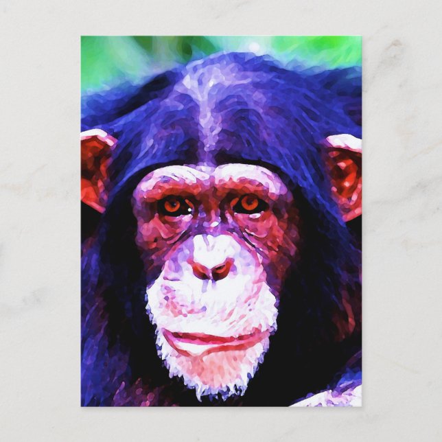 Porträtt i Chimpanzee Vykort (Framsida)