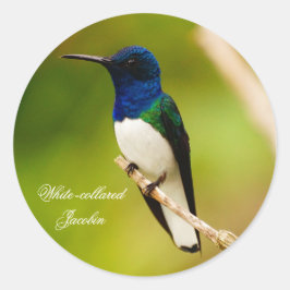 Porträtt i Contemplation Round Stickers Runt Klistermärke