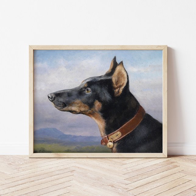 Porträtt i Doberman | Carl Reichert Poster (Skapare uppladdad)