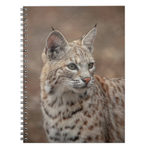 Porträtt i en Bobcat Anteckningsbok