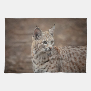 Porträtt i en Bobcat Kökshandduk