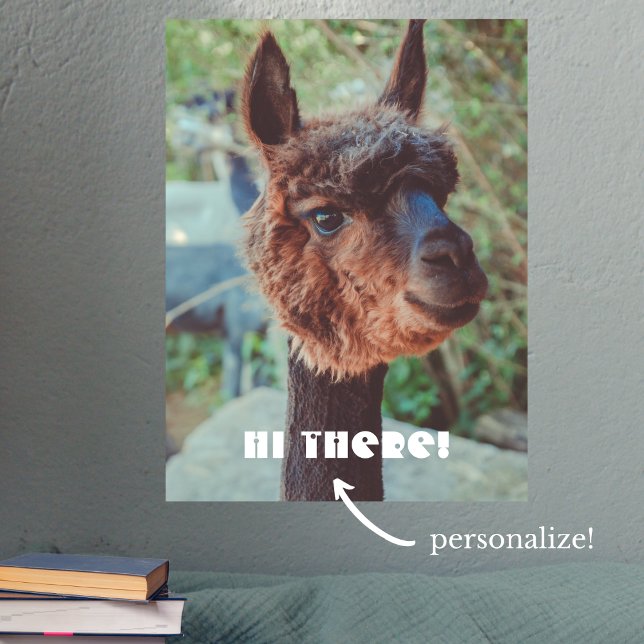 Porträtt i en brunalpaca poster (Skapare uppladdad)
