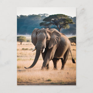 Porträtt i en elefant vykort