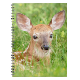 Porträtt i en Fawn (vit-skräddarsydd hjort) Anteckningsbok