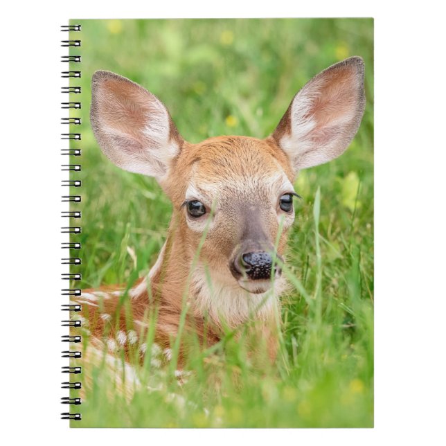Porträtt i en Fawn (vit-skräddarsydd hjort) Anteckningsbok (Framsidan)