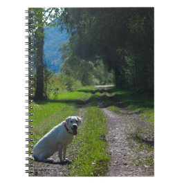 Porträtt i en gyllene hämtare sitta ner anteckningsbok med spiral