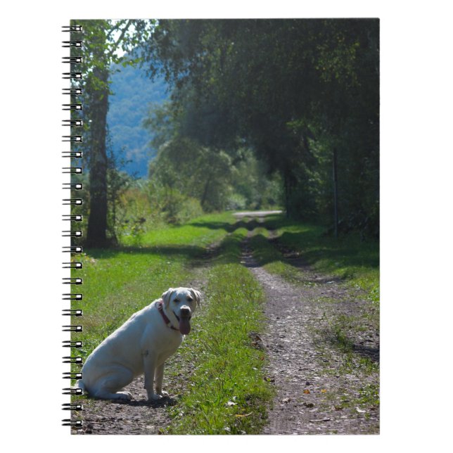 Porträtt i en gyllene hämtare sitta ner anteckningsbok med spiral (Framsidan)