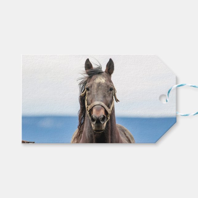 Porträtt i en häst presentetikett (Framsidan (Horisontell))