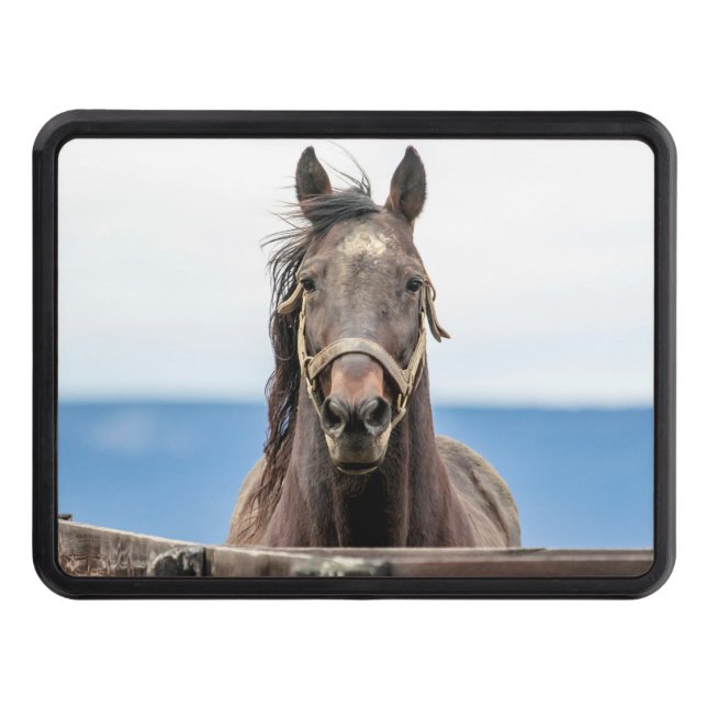 Porträtt i en häst skydd för dragkrok (Framsidan)