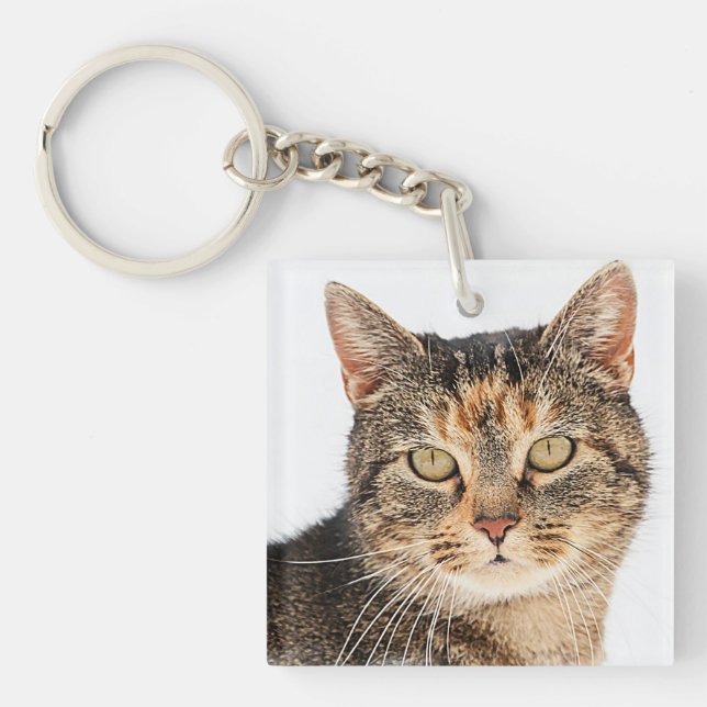 Porträtt i en katt (Framsidan)