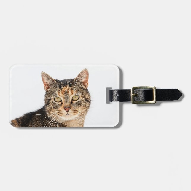 Porträtt i en katt bagagebricka (Horisontell Framsida)