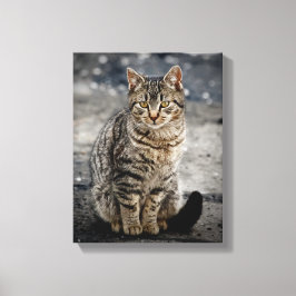 Porträtt i en katt canvastryck