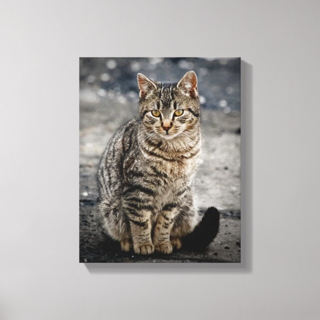 Porträtt i en katt canvastryck (Framsida)