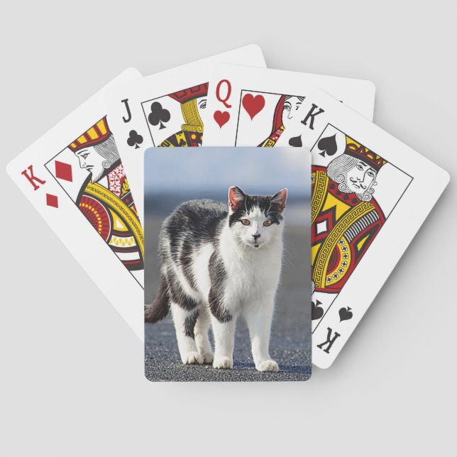 Porträtt i en katt casinokort (Baksidan)
