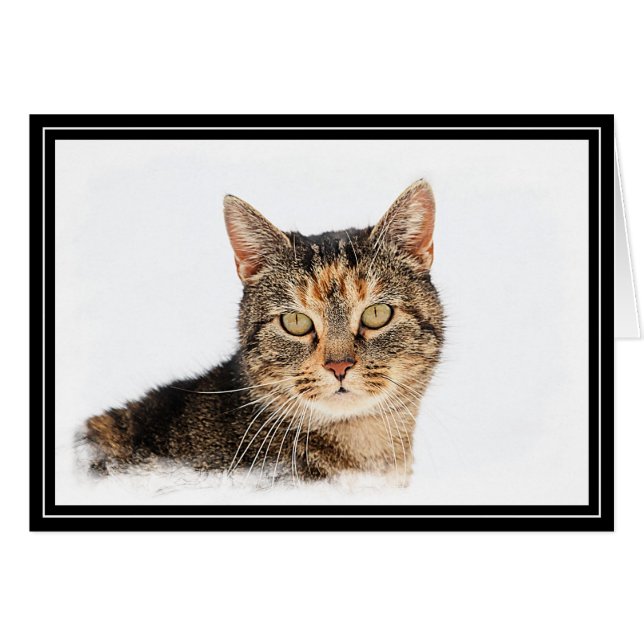 Porträtt i en katt hälsningskort (Framsidan Horizontal)