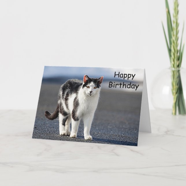 Porträtt i en katt kort (Framsida)